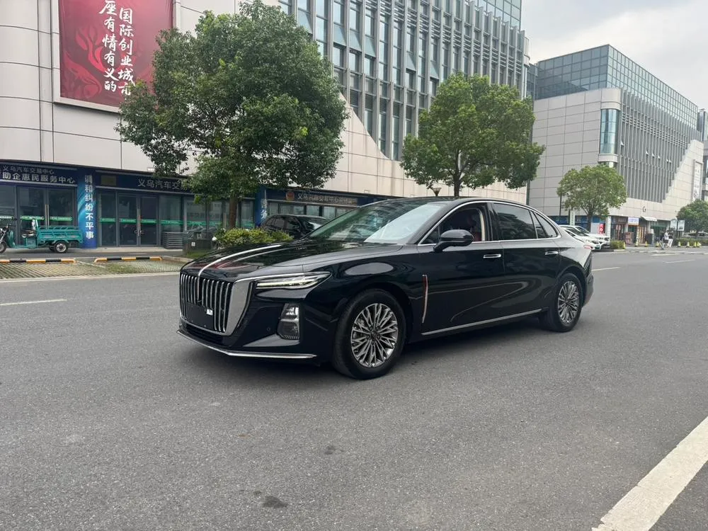 Hongqi H5, 2024