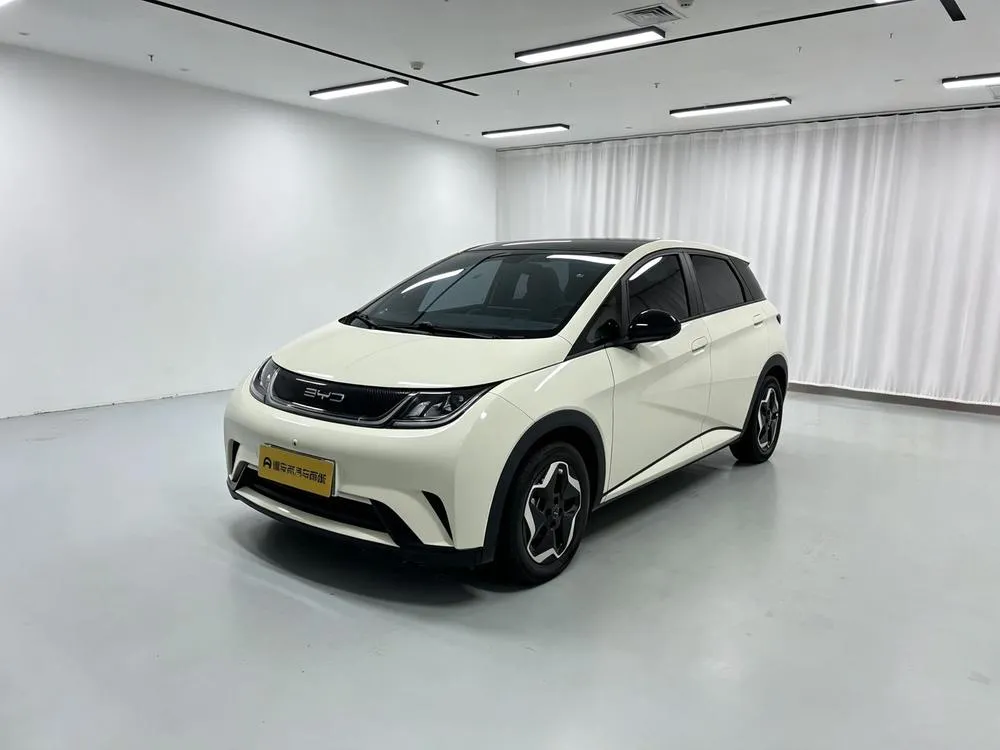 BYD Dolphin, 2021