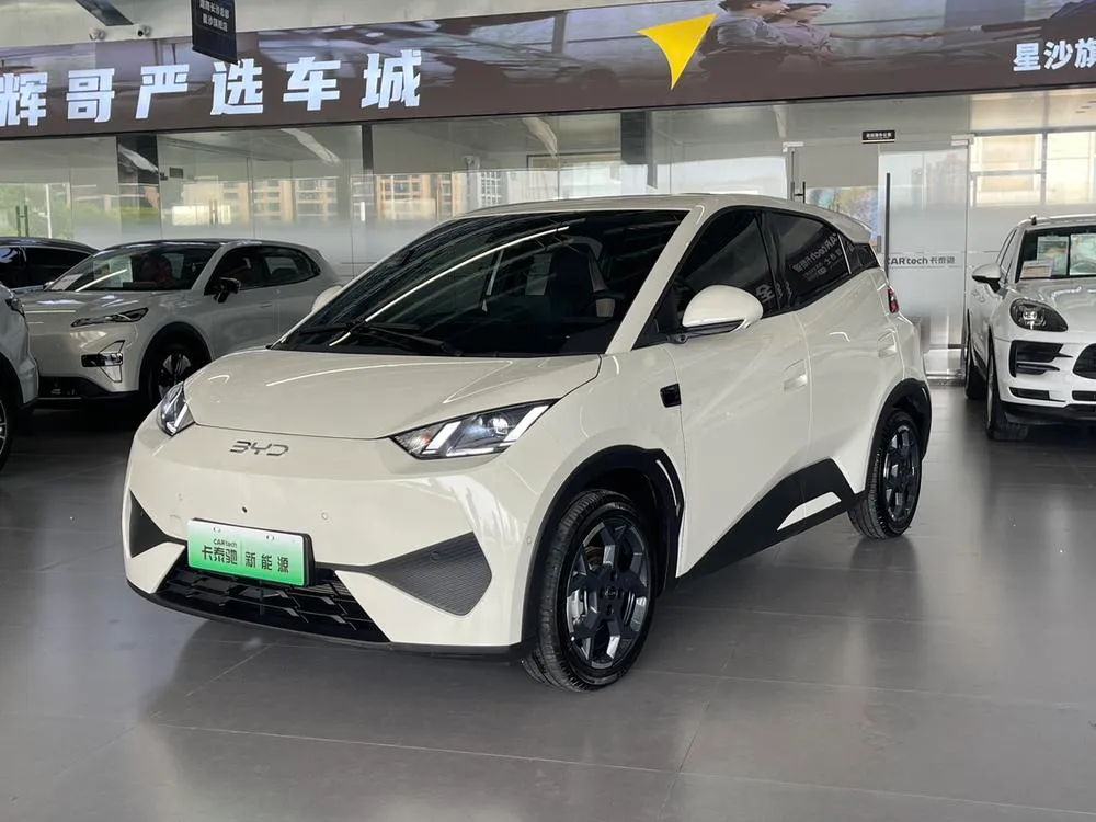 BYD Seagull, 2025