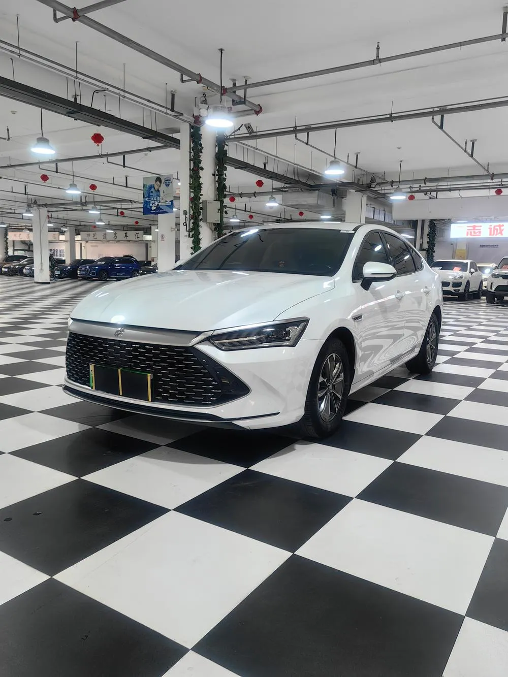 BYD Qin PLUS DM, 2024