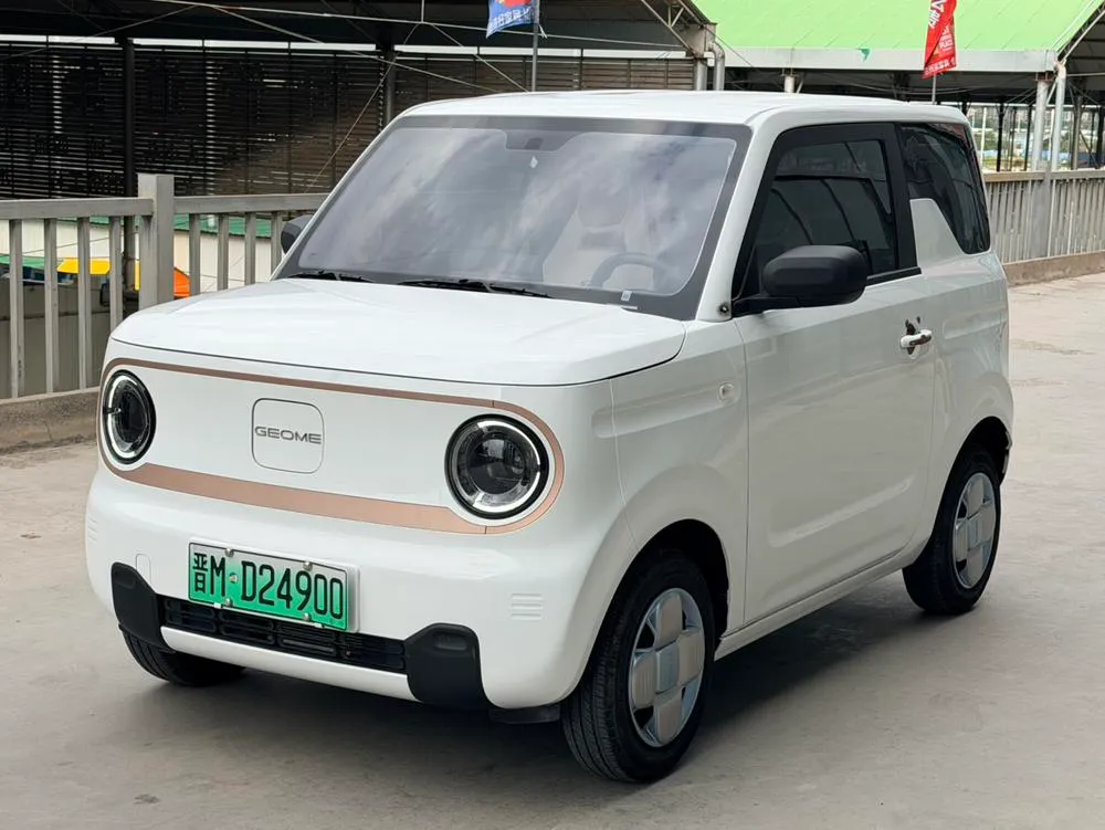 Galaxy Panda, 2024