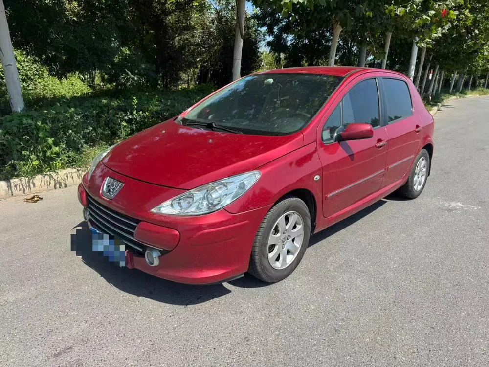 Peugeot 307, 2010
