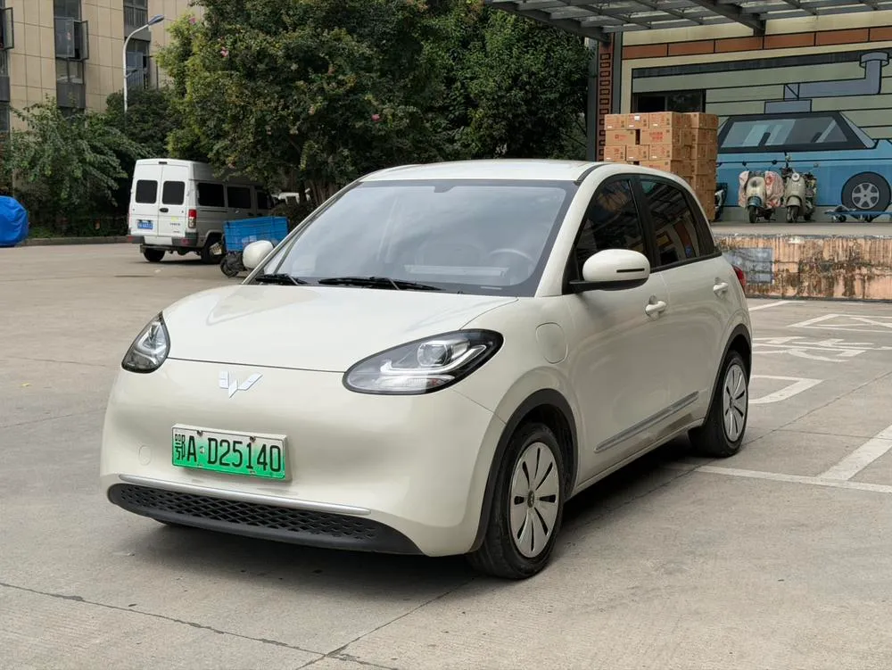 Wuling Bingo, 2023