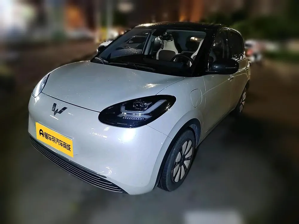 Wuling Bingo, 2023
