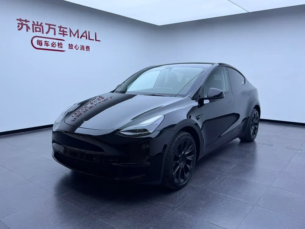 Tesla Model Y, 2021