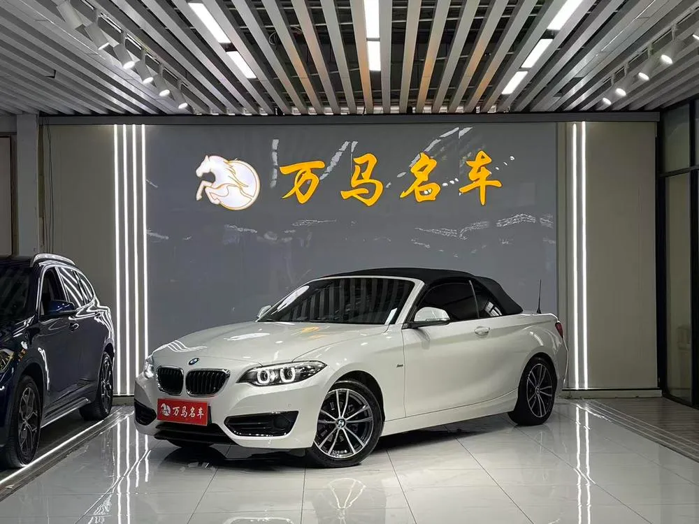 BMW 2-Series (Import), 2018