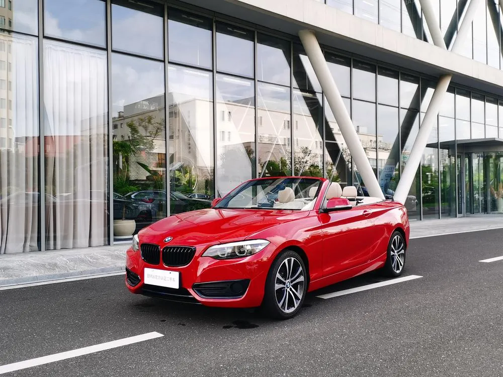 BMW 2-Series (Import) 225i Convertible Coupe Sport, 2019 — фото 1