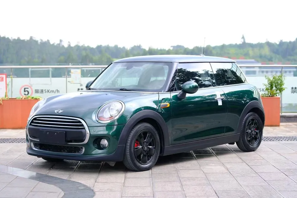 MINI MINI, 2014