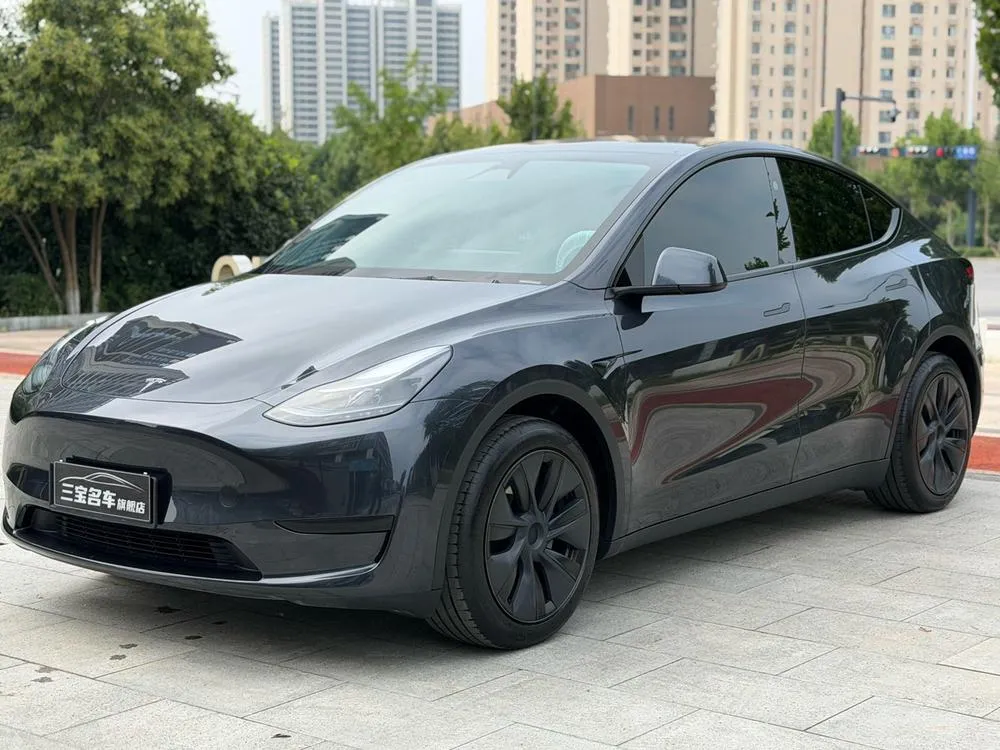 Tesla Model Y Edition, 2024 — фото 1