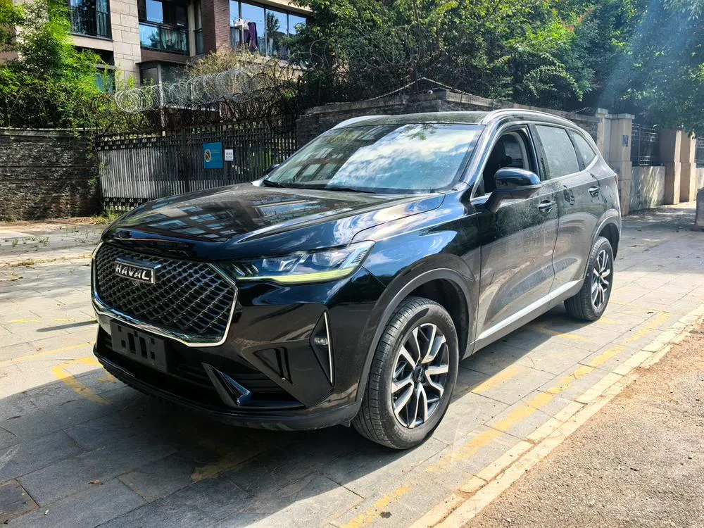 Haval H6, 2021