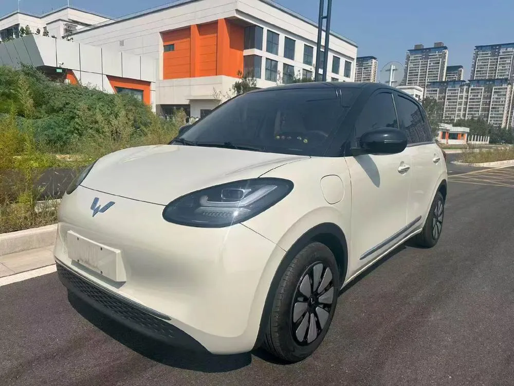 Wuling Bingo, 2025