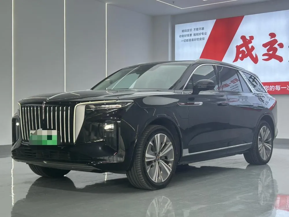 Hongqi E-HS9, 2020