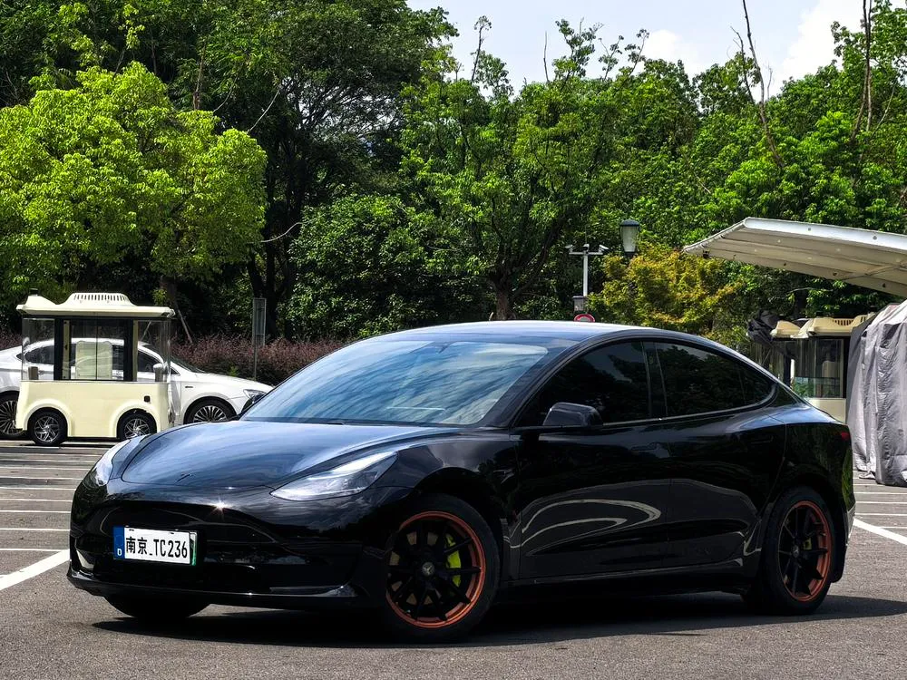 Tesla Model 3, 2021