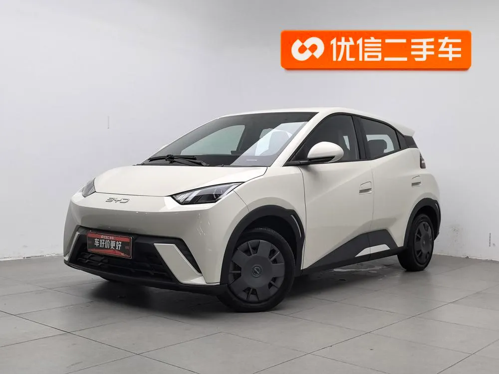 BYD Seagull, 2025