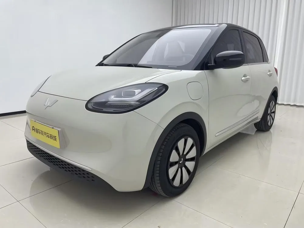 Wuling Bingo, 2023