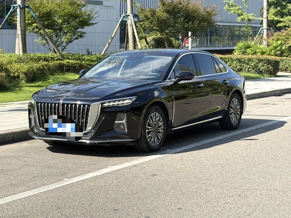 Hongqi H5, 2024