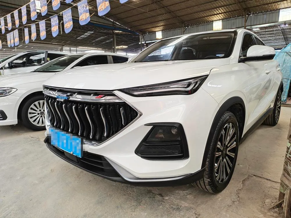Changan Oshan X5, 2021