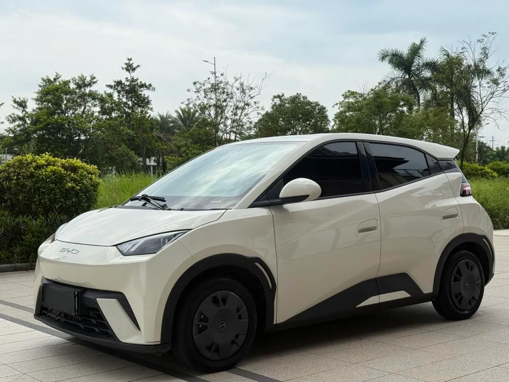 BYD Seagull, 2023