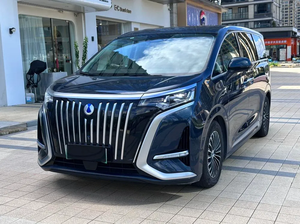 Denza D9 EV, 2024