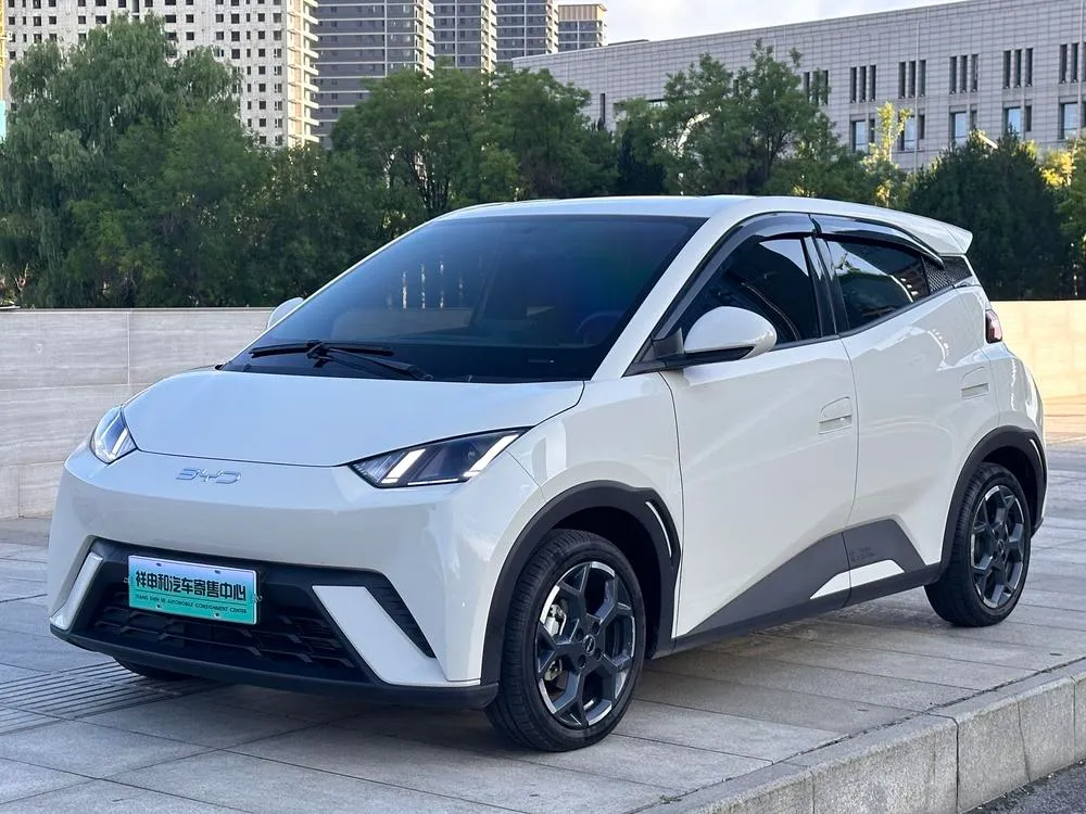 BYD Seagull, 2024