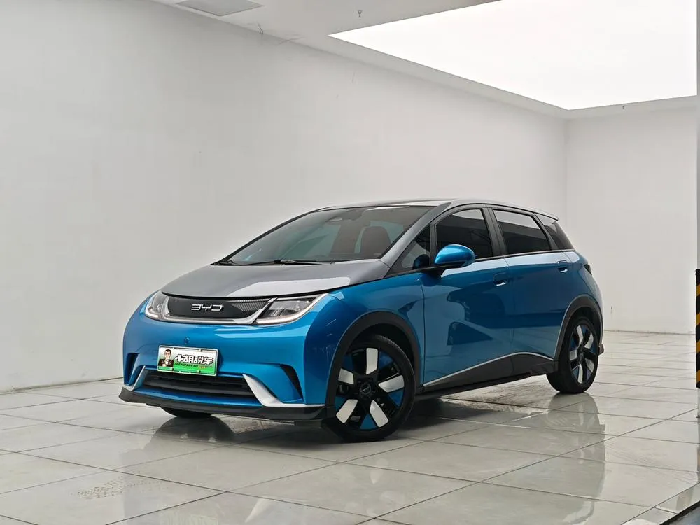 BYD Dolphin, 2021