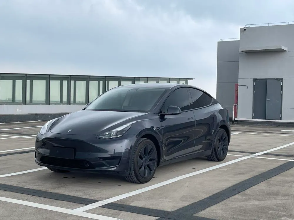 Tesla Model Y Edition, 2024 — фото 1