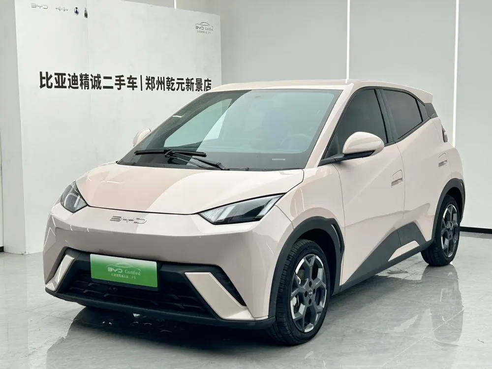 BYD Seagull, 2024