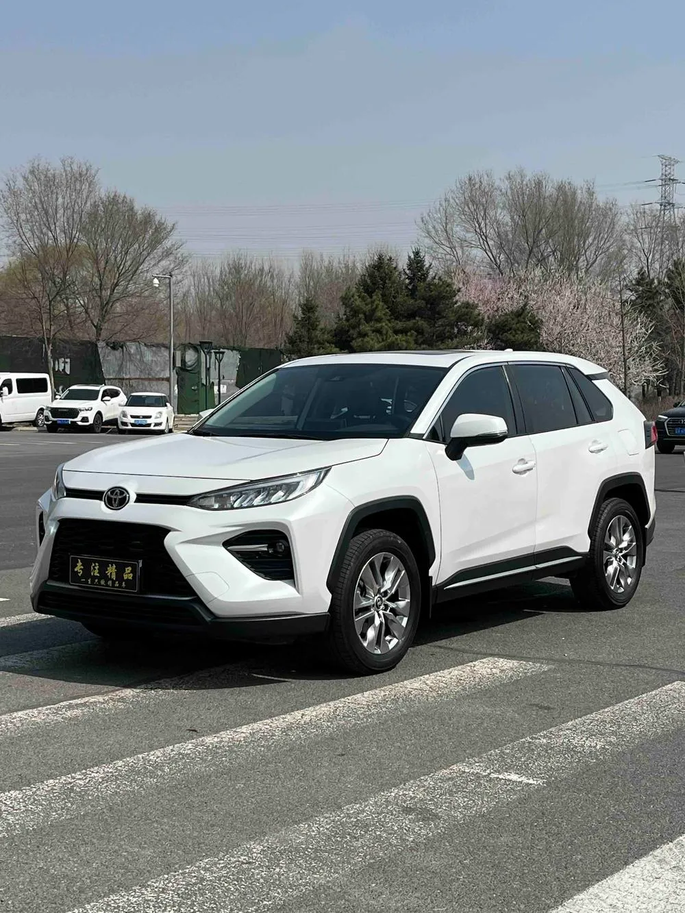 Toyota Wildlander, 2022