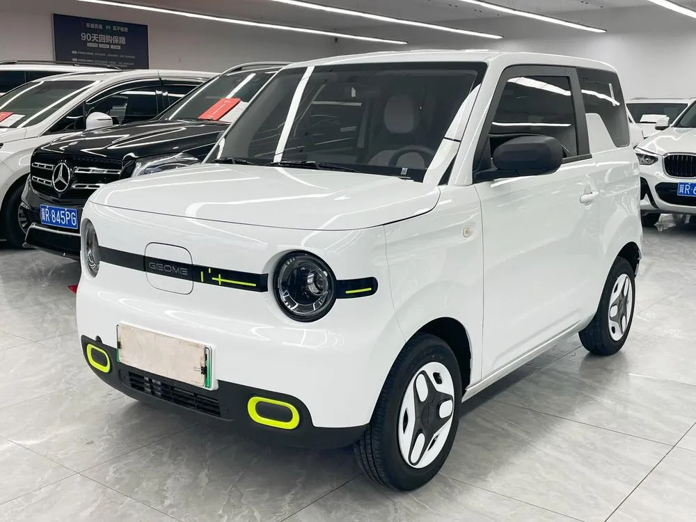 Galaxy Panda, 2025