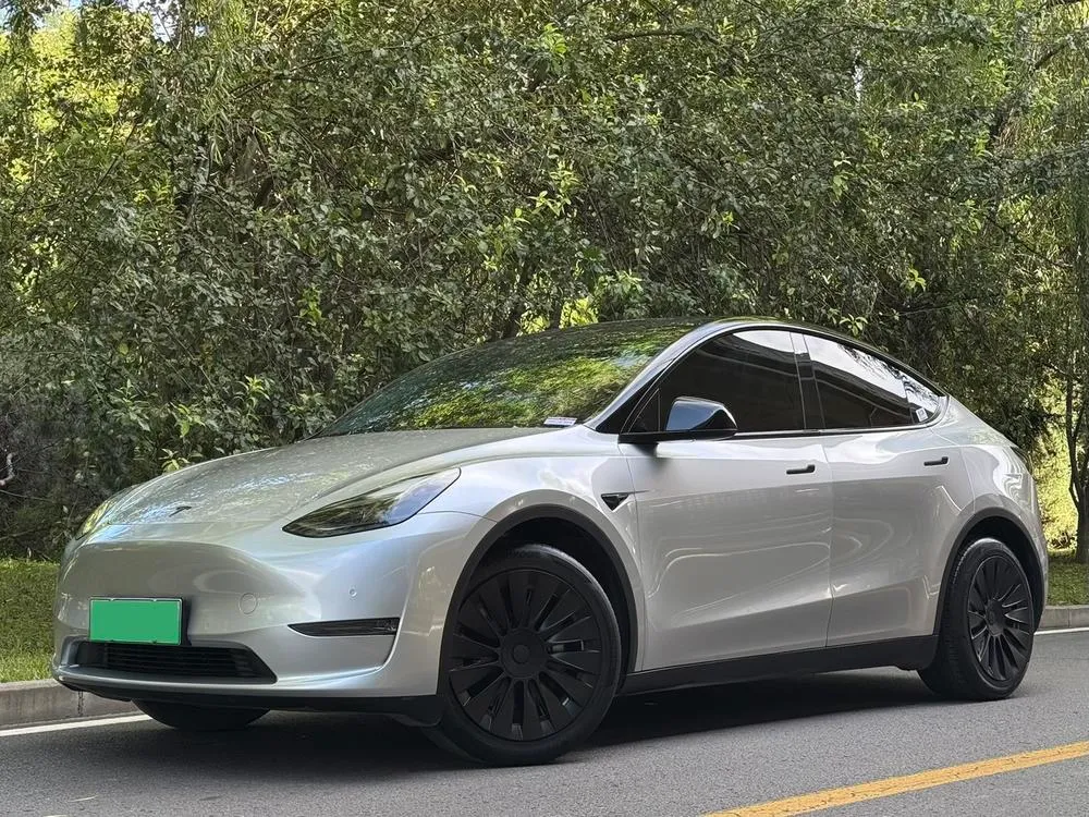 Tesla Model Y Long Range AWD Edition, 2022 — фото 1