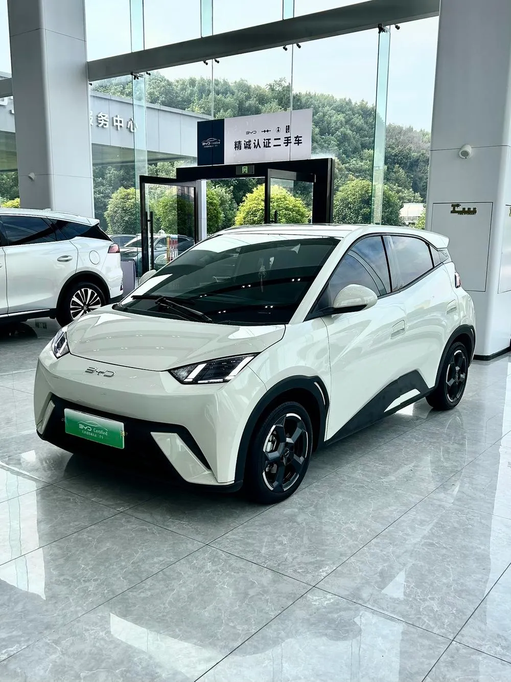 BYD Seagull, 2024