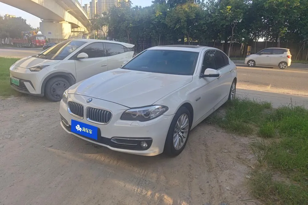 BMW 5-Series 525Li Leading Version, 2013 — фото 1