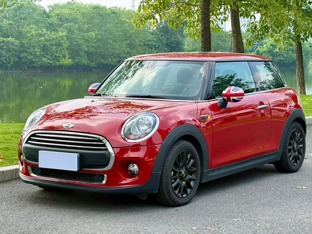 MINI MINI, 2014