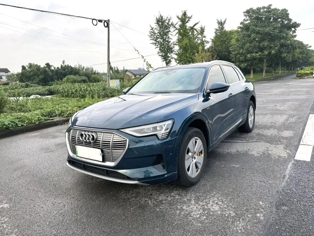 Audi e-tron (Import), 2019