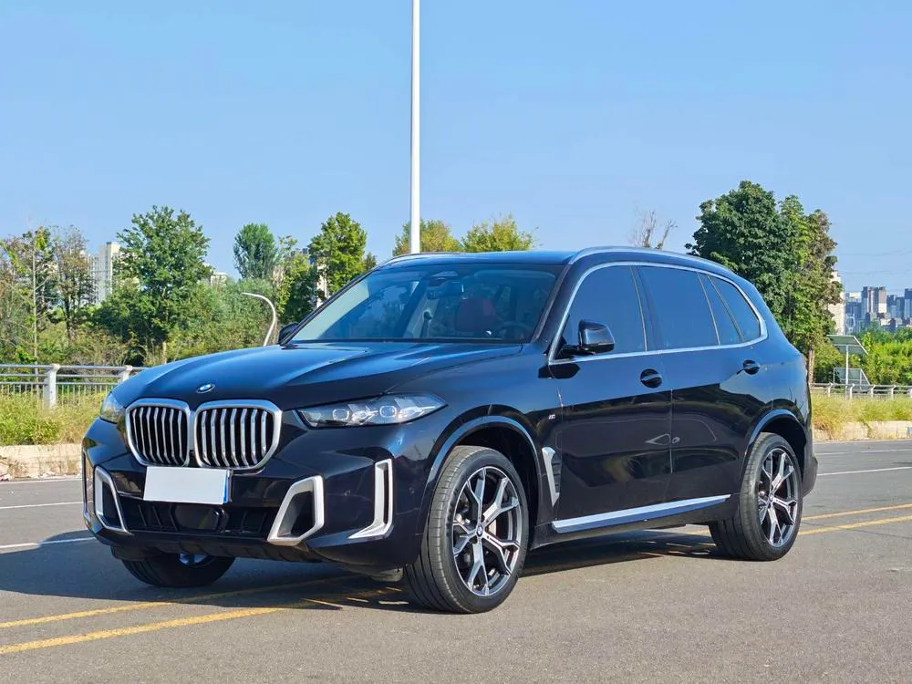 BMW X5 xDrive30Li Prestige Version M Sport, 2023 — фото 1