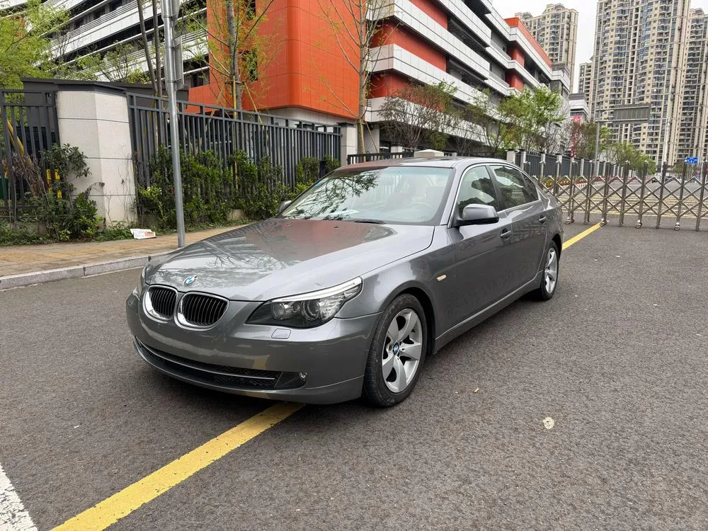 BMW 5-Series, 2010