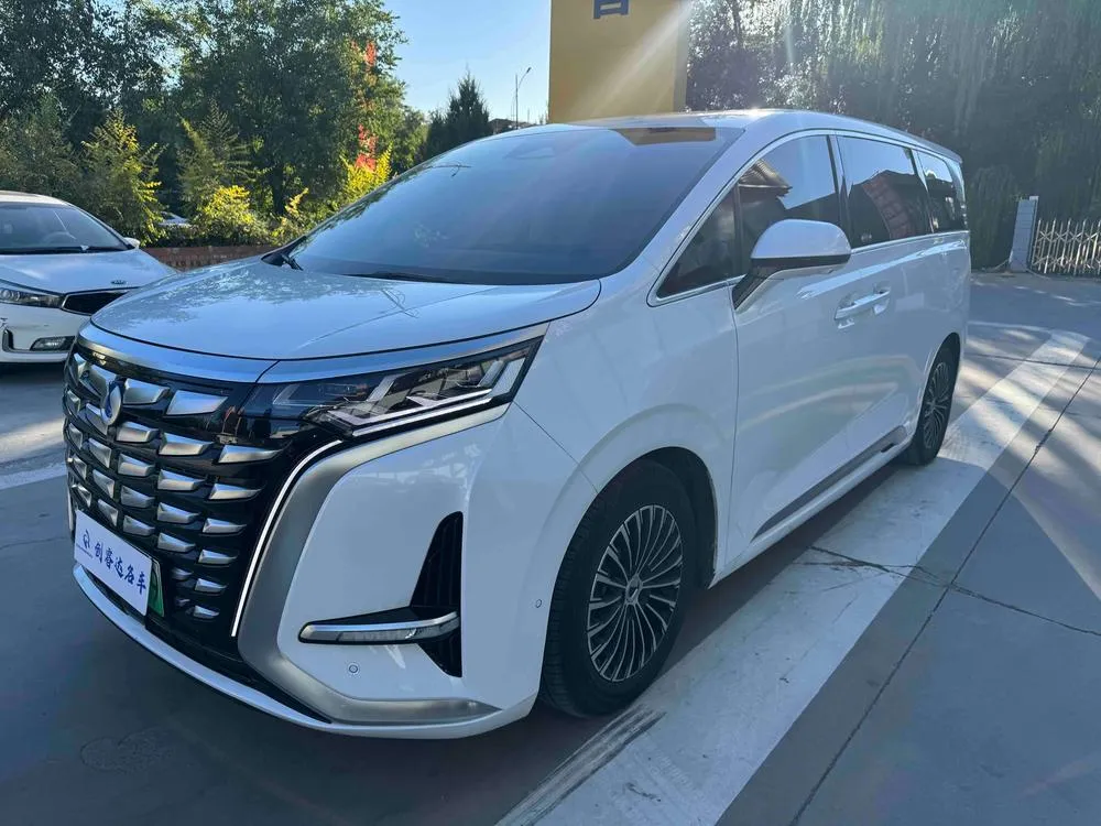 Denza D9 DM, 2024