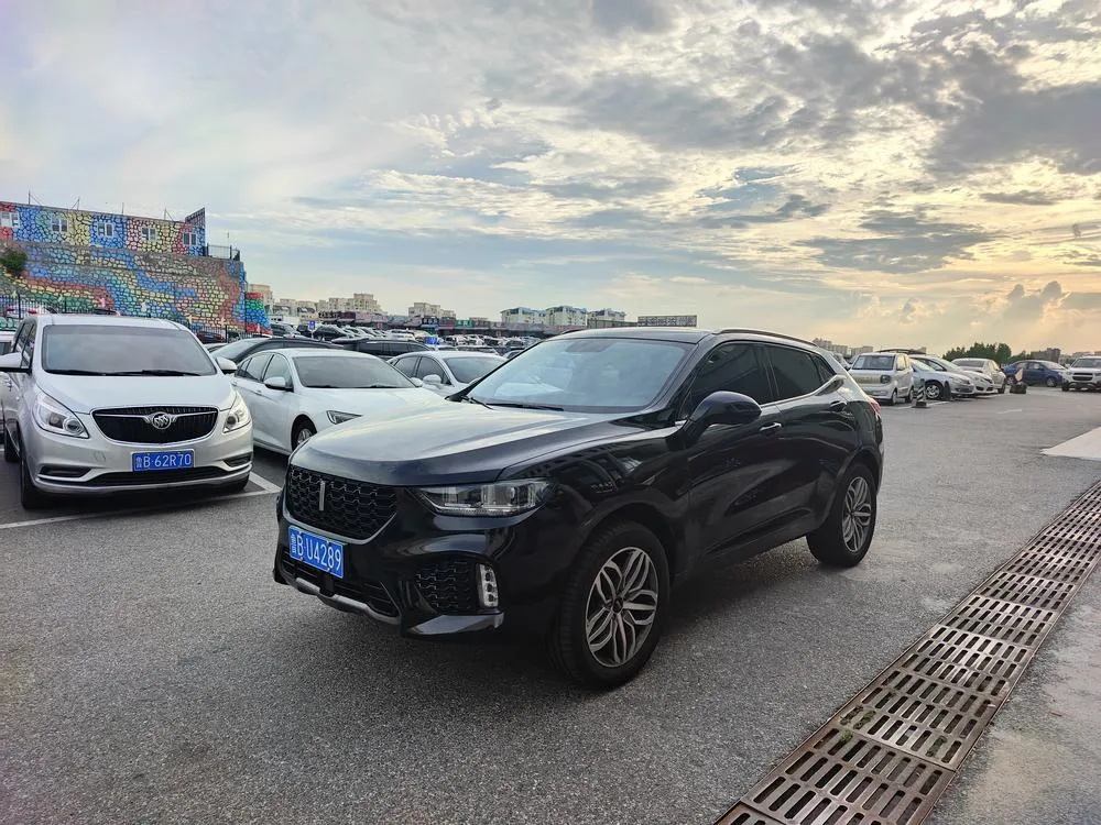 Wey VV5, 2019