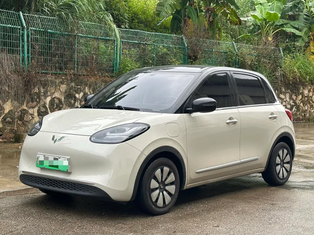 Wuling Bingo, 2024