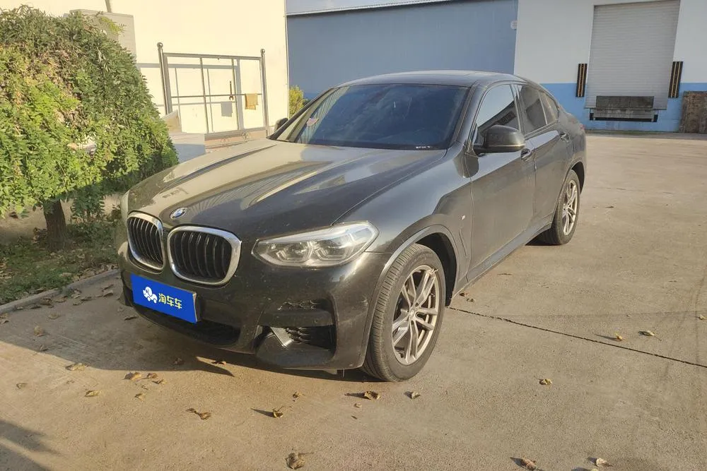 BMW X4 xDrive25i M Sport, 2020 — фото 1