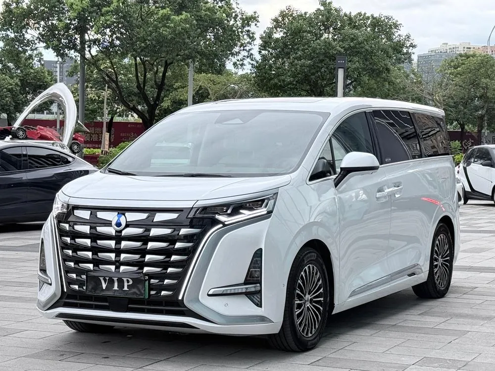 Denza D9 DM, 2022