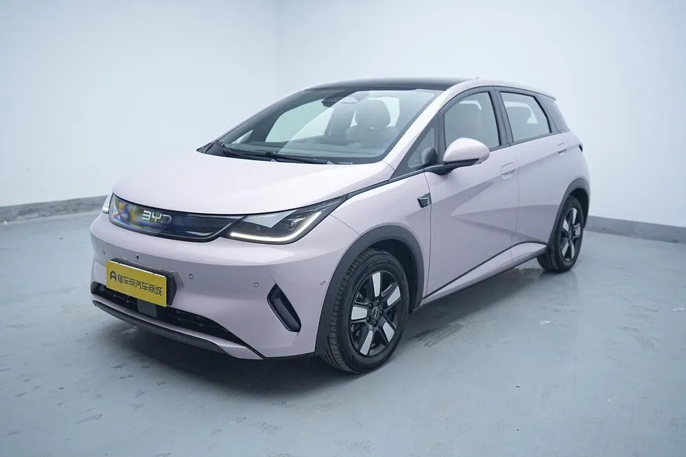 BYD Dolphin, 2025