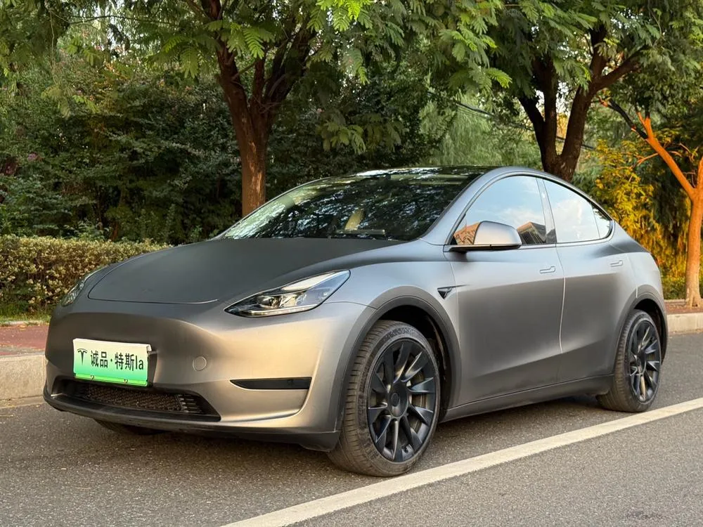 Tesla Model Y Edition, 2024 — фото 1