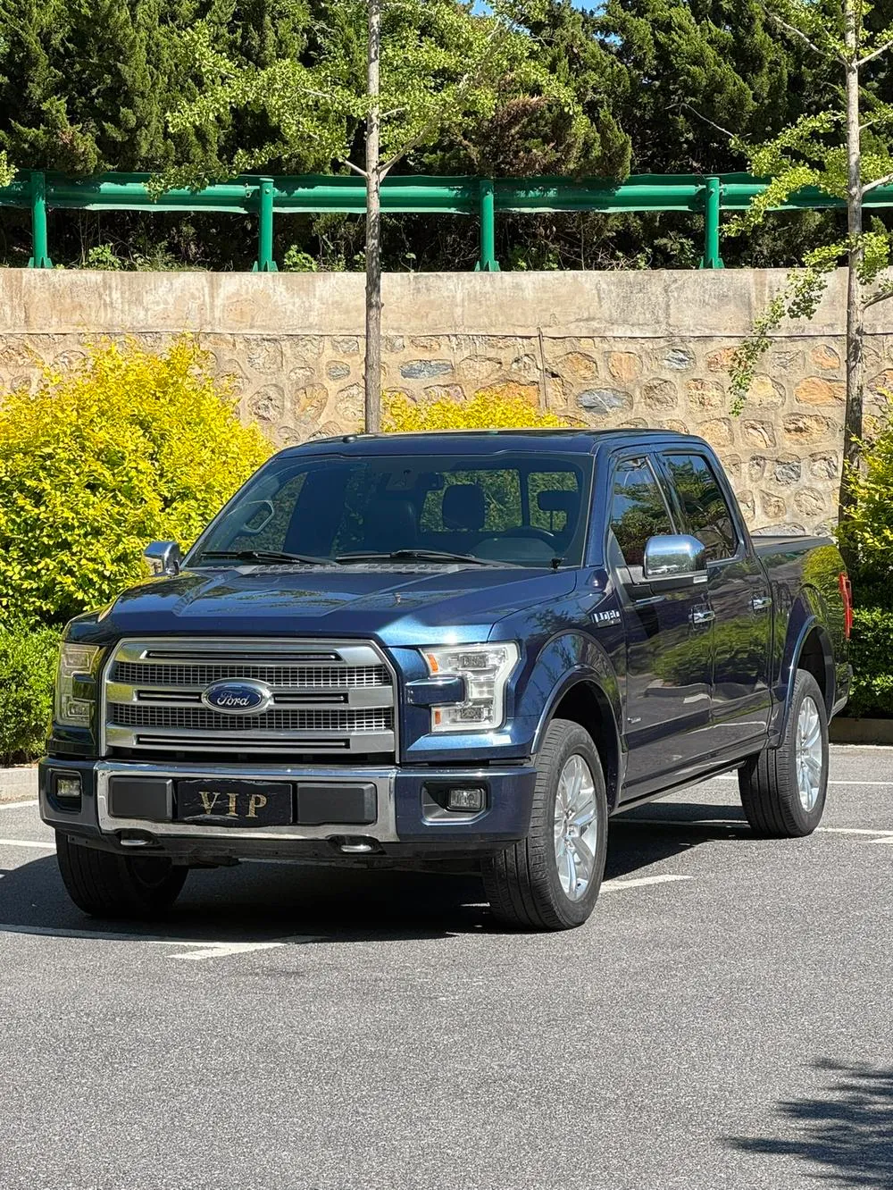 Ford F-150 Raptor, 2017