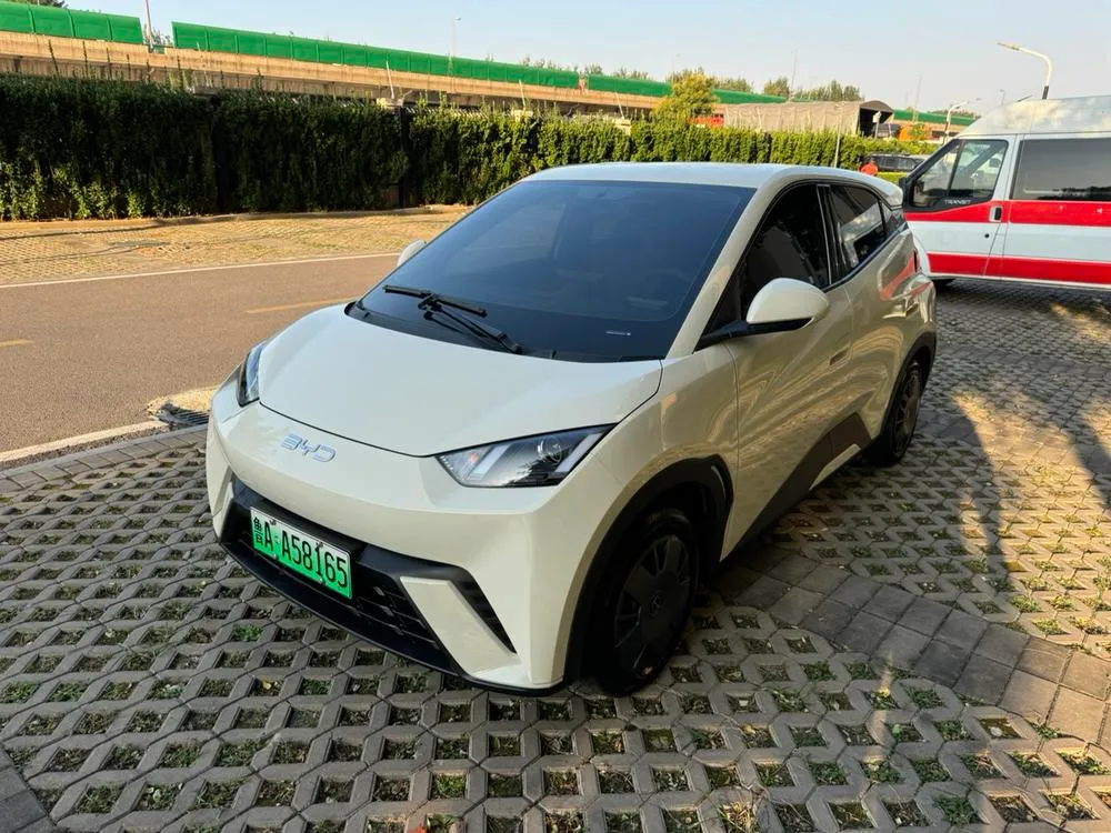BYD Seagull, 2024