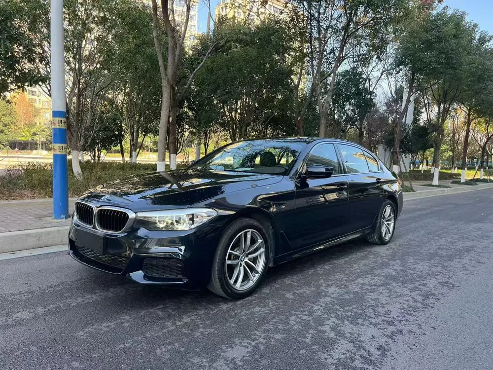 BMW 5-Series, 2020