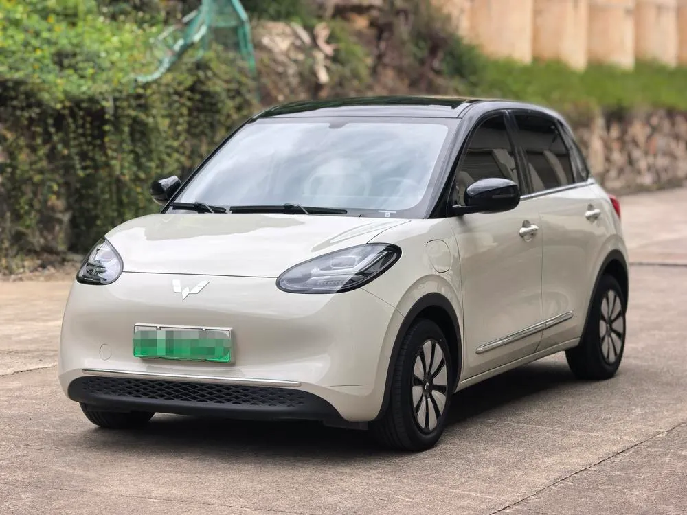 Wuling Bingo, 2024