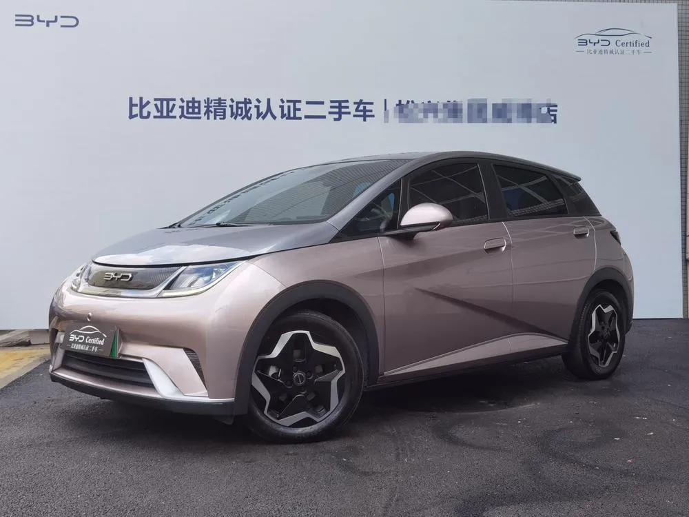 BYD Dolphin, 2021