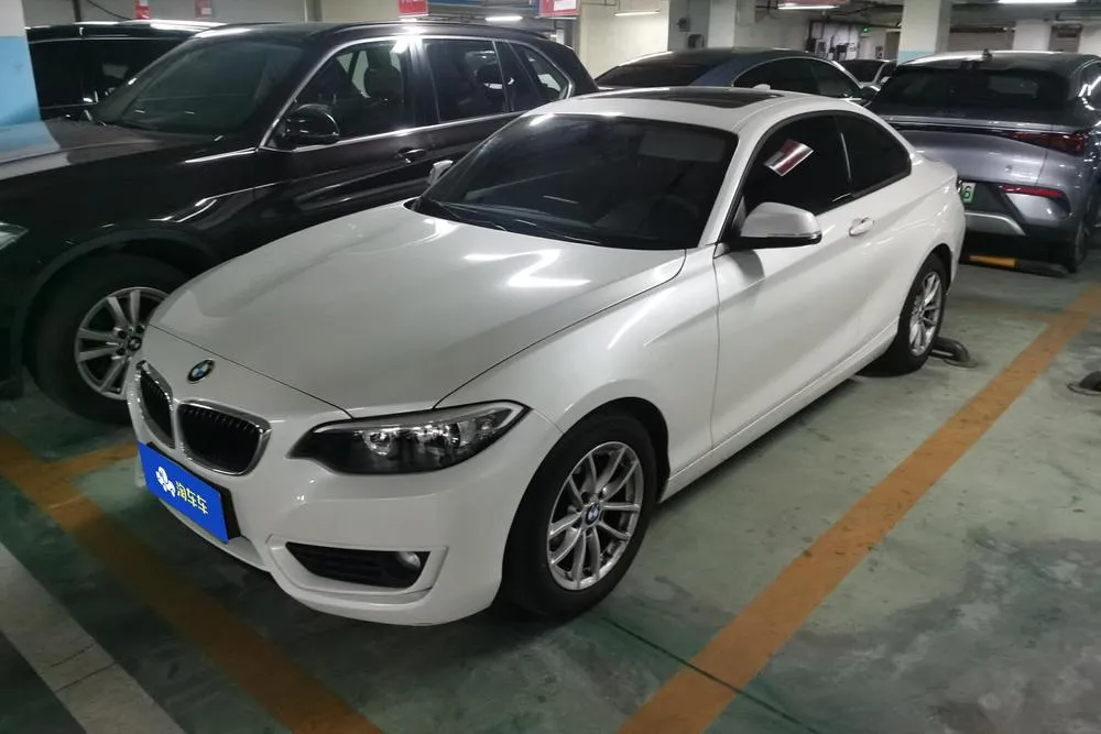 BMW 2-Series (Import), 2015