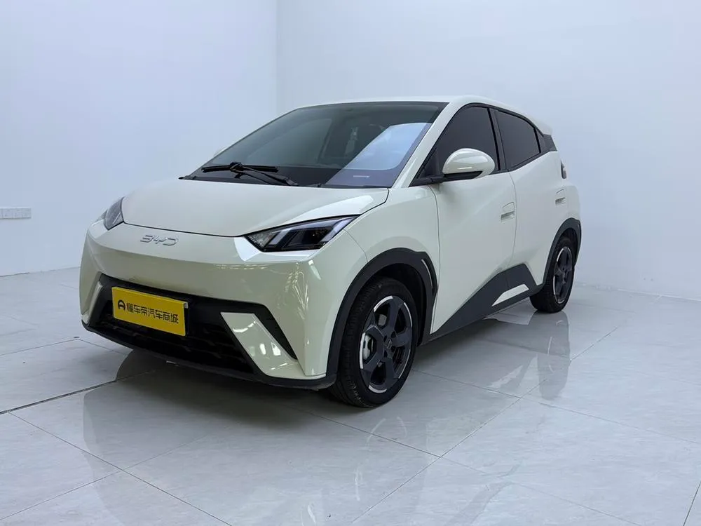 BYD Seagull, 2024